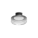 Plafondarmatuur TOPICO D25 IP20, rookkleuren 