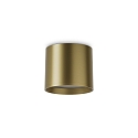 Downlight SPIKE  PL ROUND LED cilindrisch, schakelbaar IP20, messing geborsteld 