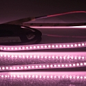 LED stripe CRI FOOD FLEX MEAT 2-polig wit