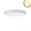 ceiling luminaire COLOR SWITCH ROUND - � 80CM CCT Switch, UGR < 19, multipower IP20, white dimmable