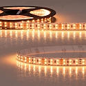 LED stripe CRI919/940 CCT wit