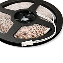 ISOLED LED stripe CRI930 MINI AMP wit