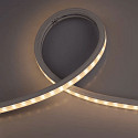 Volledig gesiliconiseerde LED StripE TM1934 WALLWASHER SPI FLEXBAND 6LED/IC wit