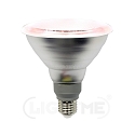 Reflectorlamp voor plantenlicht PT SPECIAL PAR38 E27 12W 