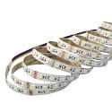 LED Strip 5050 RGB+WW/CW SMD - 5M / 12MM RGBW white