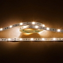 LED stripe LED SMD 5050 IP20, dimbaar