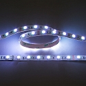 nobil� LED stripe LED SMD 5050 IP20, dimbaar