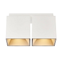 ceiling luminaire ETHAN 2 flames GU10 IP20