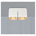 ceiling luminaire ETHAN 2 flames GU10 IP20