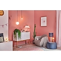 Paulmann Decoratie lichtbron filament G95 E27 6,5W 680lm 2500K CRI >80 dimbaar