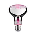 Reflectorlamp R80 GROW GREEN LED R80 E27 6,5W 200lm 1300K 60� CRI >30 