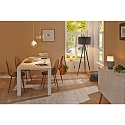 Paulmann Filamentlamp standaardvorm A60 Dim-To-Warm E27 7,5W 806lm 1800-3000K CRI >80 dimbaar