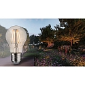 Paulmann filament lamp standard GOLD LIGHT switchable, insect friendly A55 clear E27 4,3W 420lm 2200K CRI >80  clear