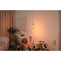 Paulmann LED filament lamp METALLIC GLOW CYLINDER HELIX switchable E27 3,5W 130lm 1800K CRI >80 
