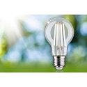 Paulmann filament lamp standard ECO-LINE AGL switchable A60 clear E27 2,5W 525lm 4000K 360� CRI >80  clear
