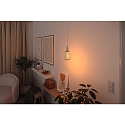 Paulmann LED gloeilamp METALLIC GLOW CYLINDER 3-STEP DIM E27 4W 180lm 1800K CRI >80 dimbaar