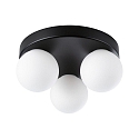 Paulmann Wand- en plafondarmatuur GOVE G9 IP44, mat, zwart 