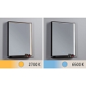 Paulmann mirror with lighting MIRO 45 X 60CM square, tunable white, with shelf IP44, black matt 