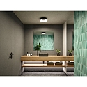 Paulmann bath luminaire CASCA CCT Switch, switchable IP44, black matt 
