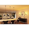 Paulmann pendant luminaire RAVI IP44 adjustable E27 IP44, black