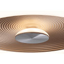 Paulmann Wand- en plafondarmatuur VOLEA � 40CM direct / indirect IP44, goud, zwart, zilver dimbaar