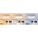 Paulmann Plafondarmatuur HOMESPA CASCA LED groot, CCT Switch IP44, wit dimbaar