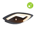 Paulmann outdoor wall luminaire AKENA PIR with sensor, insect friendly, sea-air resistant IP44, anthracite 
