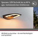 Paulmann outdoor wall luminaire AKENA PIR with sensor, insect friendly, sea-air resistant IP44, anthracite 