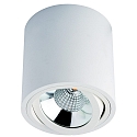 Opbouw armatuur MELIMAR COB rond, draaibaar IP20, transparant, wit, gelakt