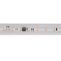LED stripe