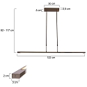 Steinhauer Pendelarmatuur ZELENA / 122CM up down, CCT Switch, instelbaar, met aanraakdimmer IP20, staal geborsteld dimbaar