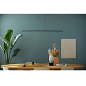 Steinhauer Pendelarmatuur ZELENA / 122CM up down, CCT Switch, instelbaar, met aanraakdimmer IP20, zwart mat dimbaar