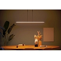 Steinhauer Pendelarmatuur ZELENA / 122CM up down, CCT Switch, instelbaar, met aanraakdimmer IP20, zwart mat dimbaar
