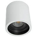 Steinhauer Downlight P�LITE SPOT cilindrisch, stijf, opbouwversie GU10 IP20, wit dimbaar