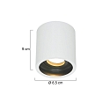 Steinhauer Downlight P�LITE SPOT cilindrisch, stijf, opbouwversie GU10 IP20, wit dimbaar