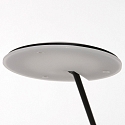 Steinhauer Staande lamp DAPHNE 1-vlams IP20, zwart dimbaar