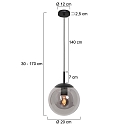 Steinhauer Pendelarmatuur BOLLIQUE rond E27 IP20, zwart dimbaar