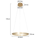 Pendelarmatuur RINGLUX LED IP20, goud dimbaar