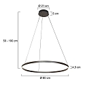 Steinhauer Pendelarmatuur RINGLUX up down IP20, zwart dimbaar