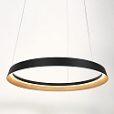 Steinhauer Pendelarmatuur RINGLUX IP20, zwart dimbaar