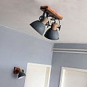 Mexlite Plafondarmatuur GEARWOOD 2-vlams, instelbaar E27 IP20, grijs, mat dimbaar