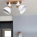 Mexlite Plafondarmatuur GEARWOOD 2-vlams, instelbaar E27 IP20, wit mat dimbaar