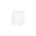 Plafondarmatuur DOCUS CEILING SURF 1.0 IP20, wit mat dimbaar