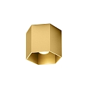 Plafondarmatuur HEXO CEILING SURF 1.0 1-vlams IP20, goud dimbaar