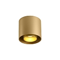 Plafondarmatuur RAY CEILING SURF 1.0 1-vlams IP20, goud dimbaar