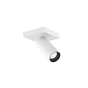 Spot PILLO 1.0 draaibaar GU10 IP20, wit mat