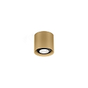 Spot RAY MINI CEILING SURF 1.0 PAR16 GU10 IP20, champagne dimbaar