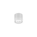 Spot RAY MINI CEILING SURF 1.0 PAR16 GU10 IP20, wit mat 