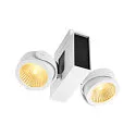 SLV Wand- en plafondarmatuur TEC KALU CL DOUBLE PHASE 2-vlams, cardanisch draaien IP20, zwart, wit dimbaar