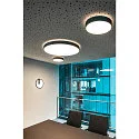 Wandarmatuur ONE 40 DALI IP20, zwart dimbaar